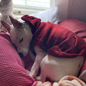 Meet your Posher, Alicia